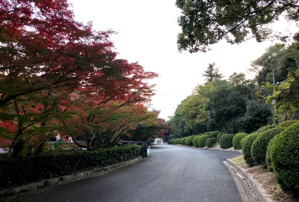 毛利氏庭園の写真・動画_image_399370
