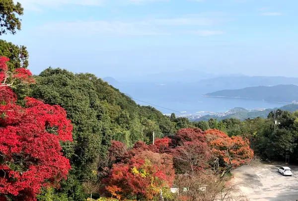 帯石観音の写真・動画_image_399493