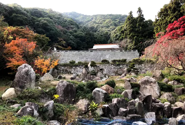 帯石観音の写真・動画_image_399499