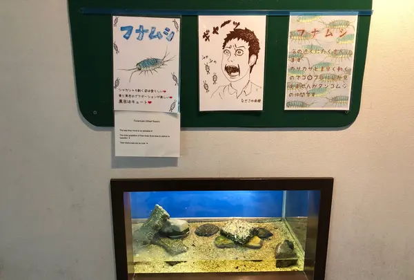 なぎさ水族館の写真・動画_image_399518