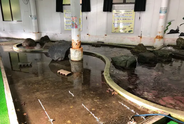 なぎさ水族館の写真・動画_image_399519