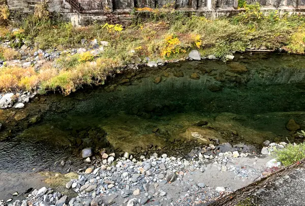 地底王国美川ムーバレーの写真・動画_image_399701