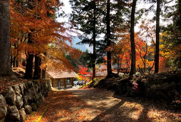 寂地峡の写真・動画_image_399705