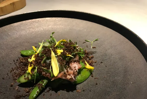 箱根本箱 / Hakone Honbakoの写真・動画_image_399724