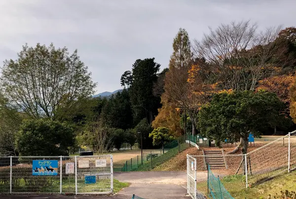 花みどり公園の写真・動画_image_399928