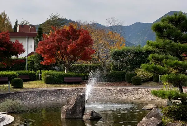 花みどり公園の写真・動画_image_399929
