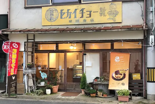 にわのにわとりの写真・動画_image_399931