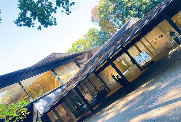 明治神宮の写真・動画_image_400007