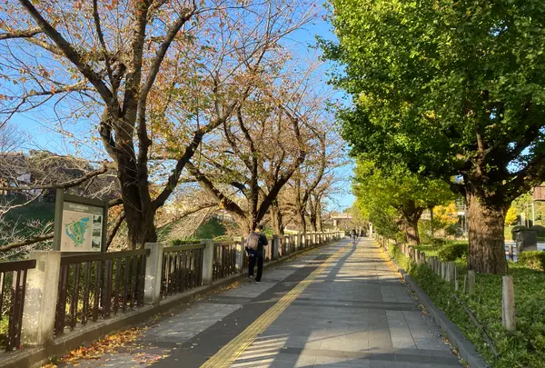 武道館の写真・動画_image_400073