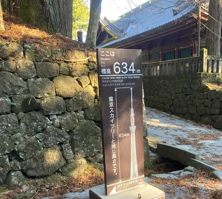 日光東照宮の写真・動画_image_400205