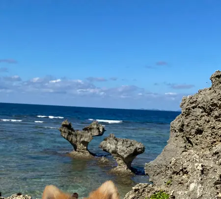 ハートロックの写真・動画_image_400522