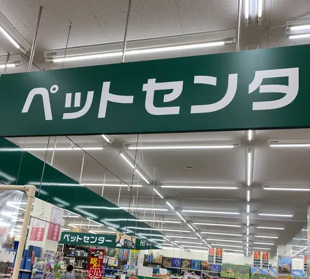 メイクマン 浦添本店の写真・動画_image_400531