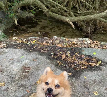 塩川の写真・動画_image_400533