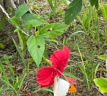 塩川の写真・動画_image_400534