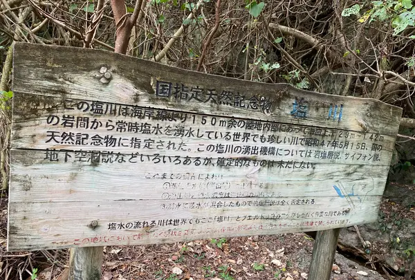 塩川の写真・動画_image_400535