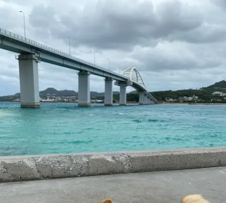 アンチ浜の写真・動画_image_400536