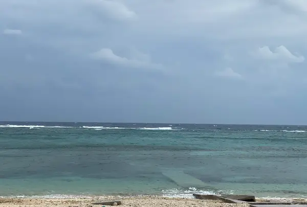 ウクン浜の写真・動画_image_401390
