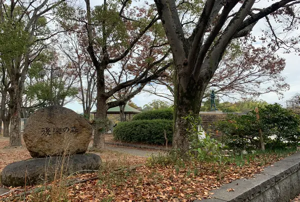 石山公園の写真・動画_image_401690