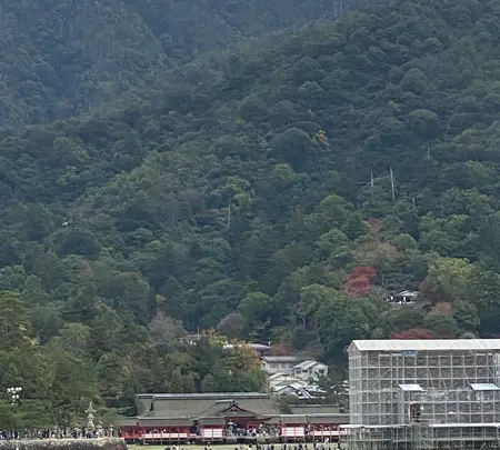 JR西日本宮島フェリーの写真・動画_image_401771