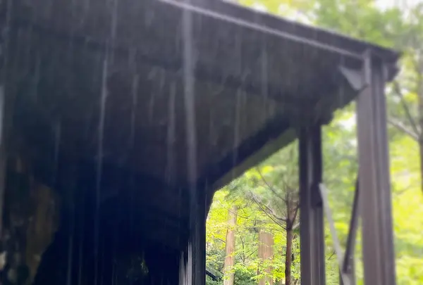 榛名神社の写真・動画_image_401799