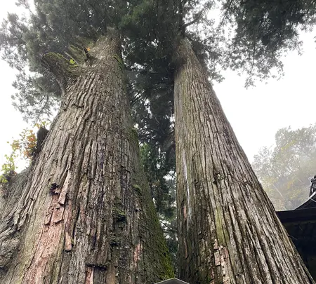 榛名神社の写真・動画_image_401805