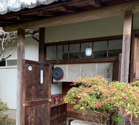 芙蓉の写真・動画_image_401894