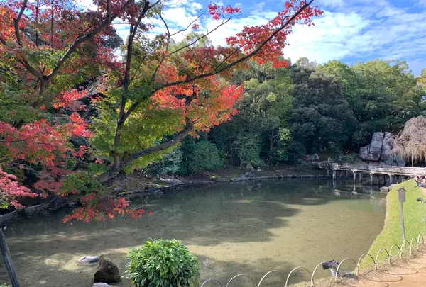 岡山後楽園の写真・動画_image_401974