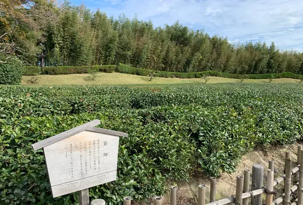 岡山後楽園の写真・動画_image_401975