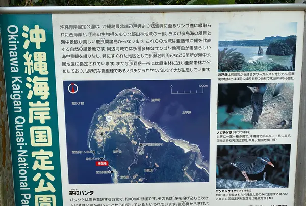 茅打ちバンタの写真・動画_image_402044