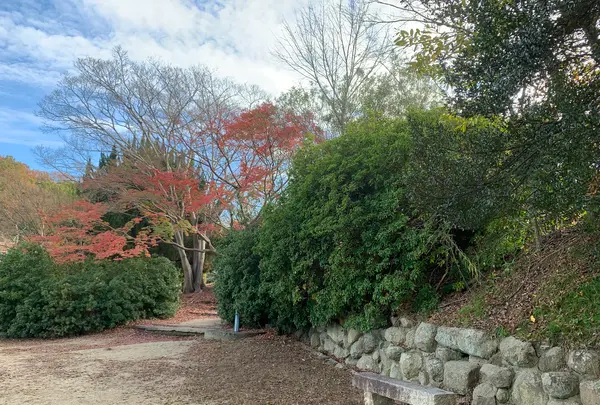 東山公園の写真・動画_image_402098