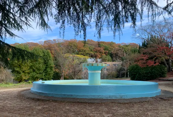 東山公園の写真・動画_image_402099