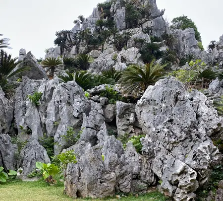 大石林山の写真・動画_image_402138