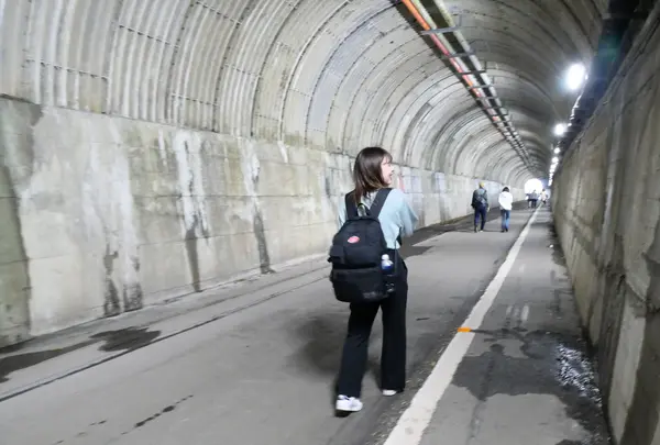 寸又峡の写真・動画_image_402407