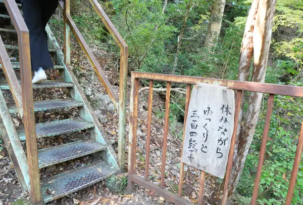 寸又峡の写真・動画_image_402408