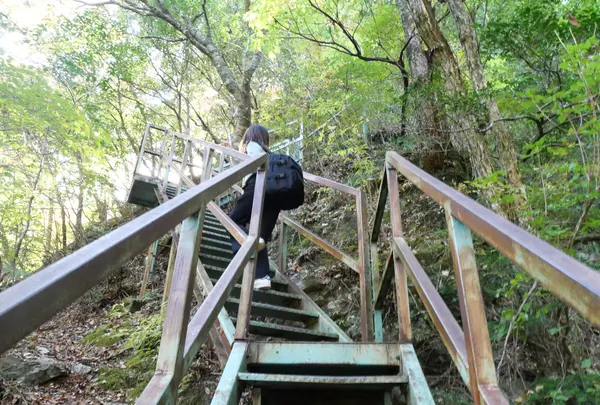 寸又峡の写真・動画_image_402409