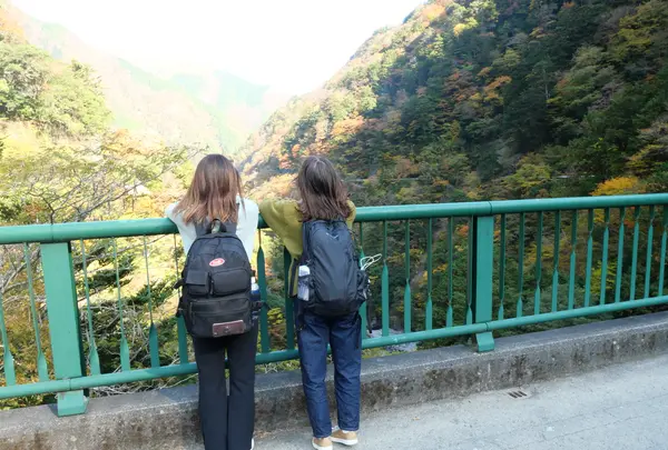 寸又峡の写真・動画_image_402410