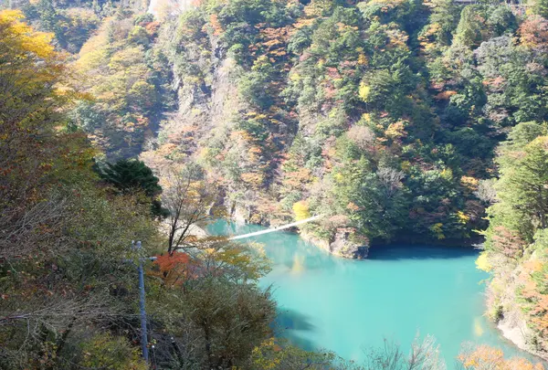 寸又峡の写真・動画_image_402412