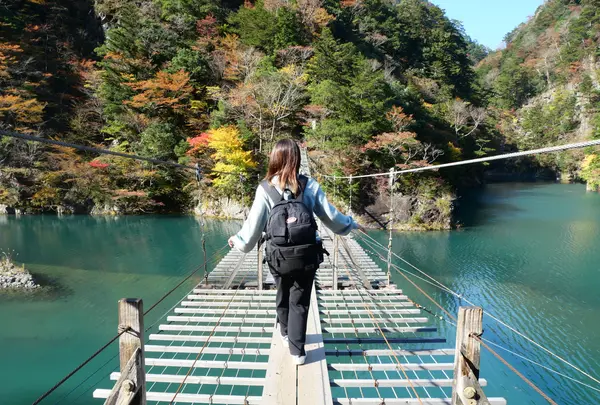 夢の吊橋の写真・動画_image_402415