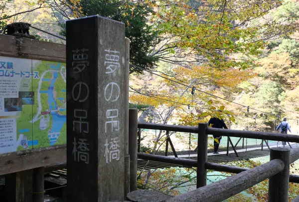 夢の吊橋の写真・動画_image_402416