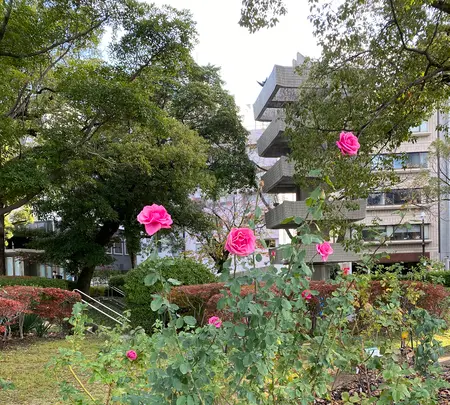 平和記念公園の写真・動画_image_402480