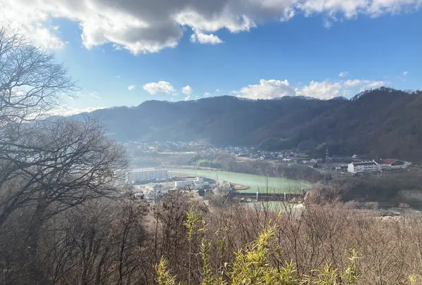 懐古園の写真・動画_image_402844