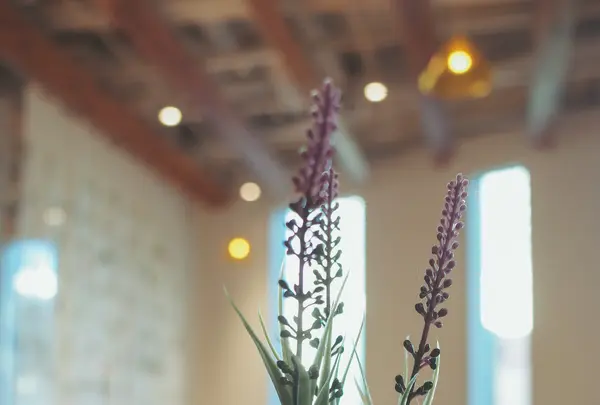 FUMUROYA CAFE TOYAMAキラリ店の写真・動画_image_403108