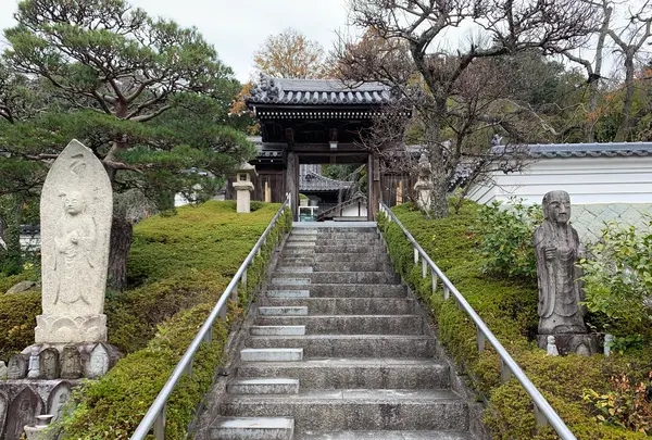 千光寺の写真・動画_image_403423
