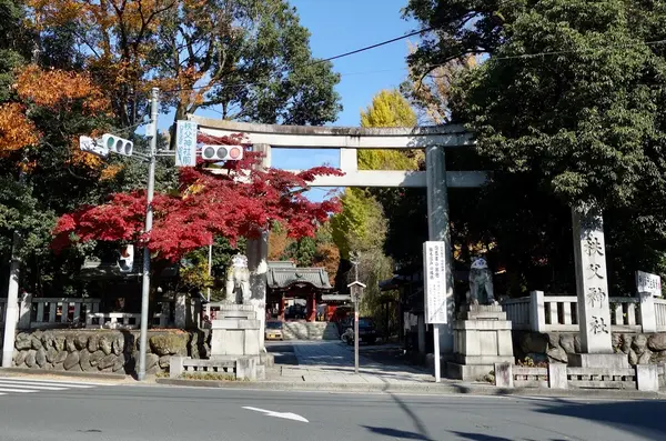 秩父神社の写真・動画_image_403788
