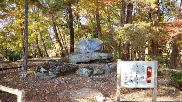 月の石もみじ公園の写真・動画_image_403797