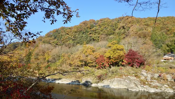 月の石もみじ公園の写真・動画_image_403802