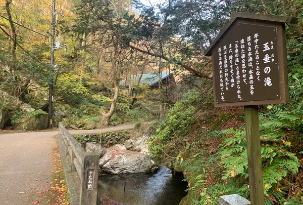 神庭の滝の写真・動画_image_403821