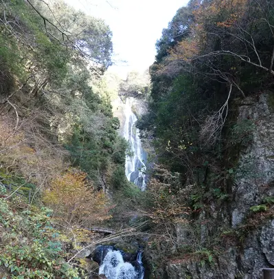 神庭の滝の写真・動画_image_403824