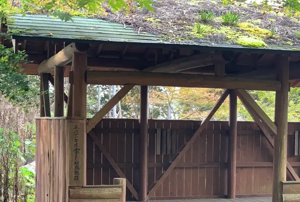 常瀧寺の大イチョウの写真・動画_image_404131