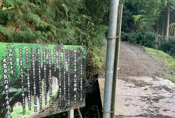 愛宕山 常瀧寺の写真・動画_image_404134